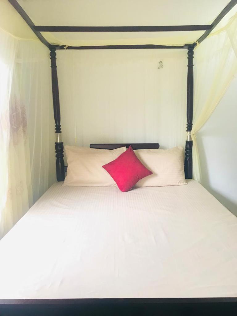 Summer House Mirissa Εξωτερικό φωτογραφία